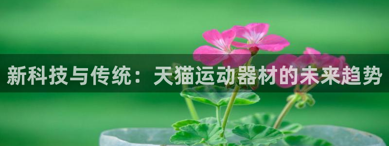 凯捷体育招商电话号码是多少:新科技与传统:天猫运动器材的未来