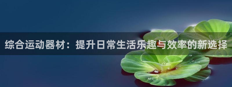 凯捷体育平台是正规平台吗:综合运动器材:提升日常生活乐趣与效