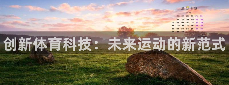凯捷体育平台APP:创新体育科技:未来运动的新范式
