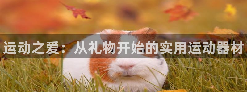 凯捷体育平台注册要钱吗是真的吗:运动之爱:从礼物开始的实用运