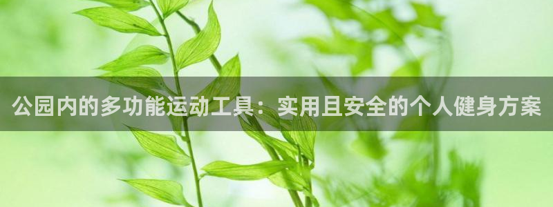 凯捷体育娱乐首页网站大全:公园内的多功能运动工具:实用且安全