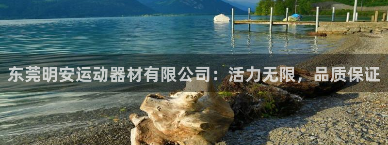 凯捷体育新能源:东莞明安运动器材有限公司:活力无限,品质保证
